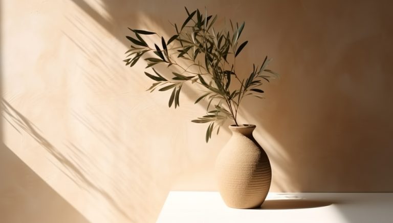 Modern,Summer,Minimal,Of,Olive,Tree,Branch,In,Sunlight,With